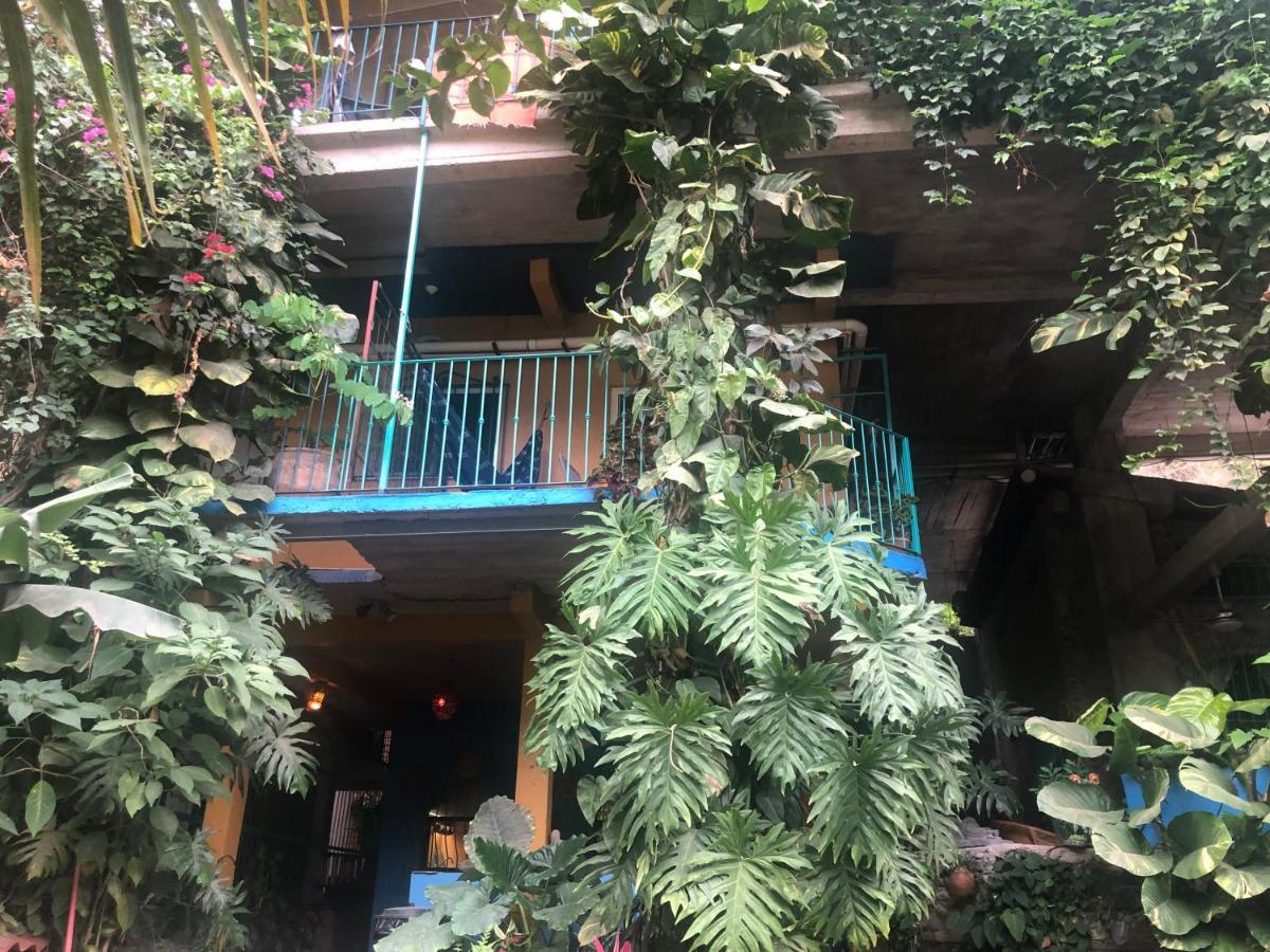 Casa Cereza Apartments Puerto Vallarta Exterior foto